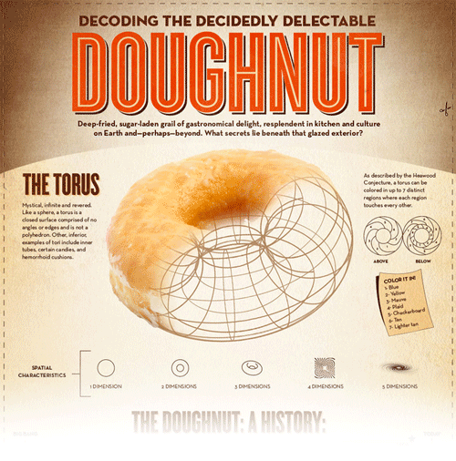 Doughnut Infogrpahic