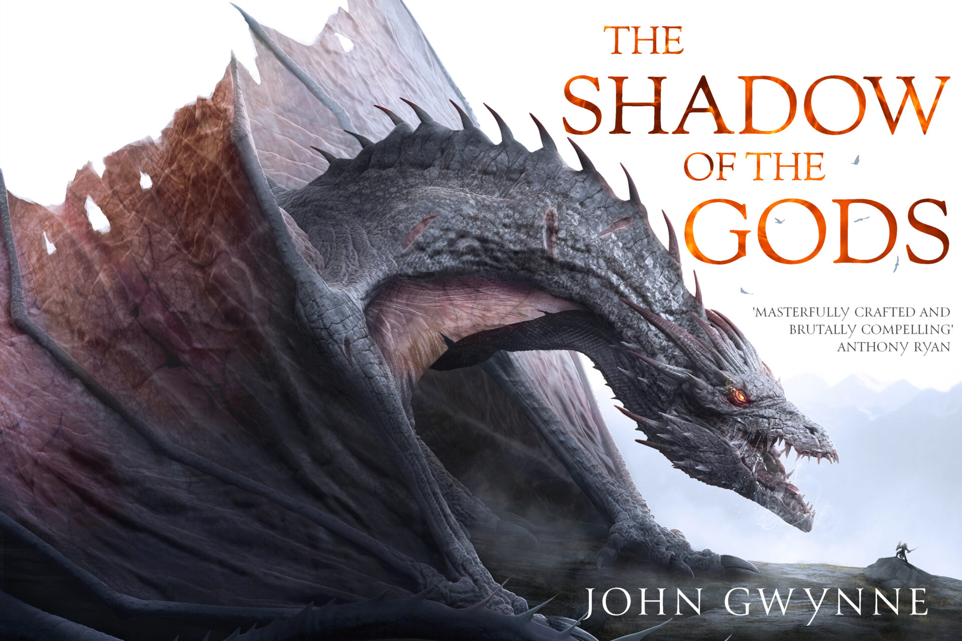 Cover Launch: THE SHADOW OF THE GODS by John Gwynne - Orbit Books