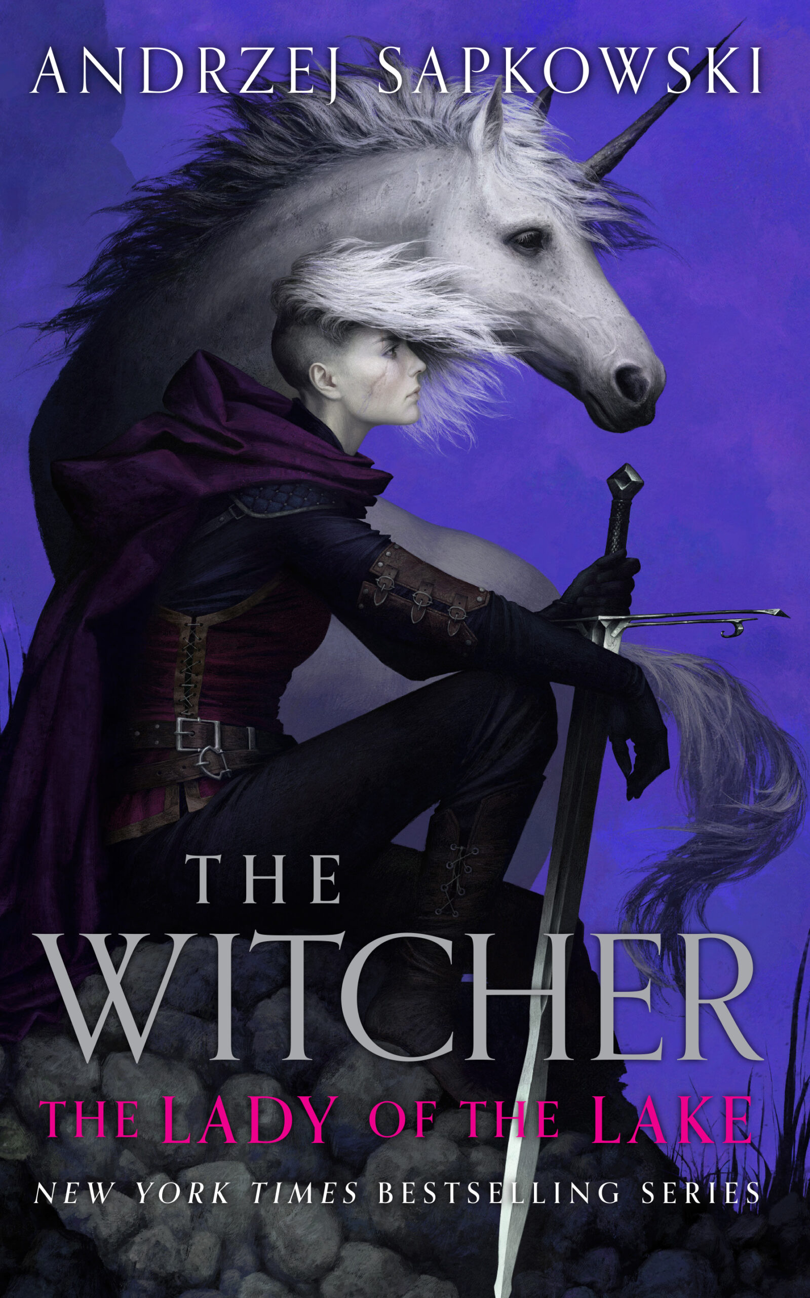 synopsis of witcher books
